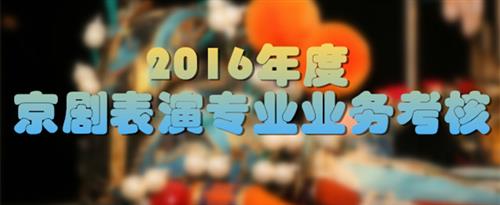 男女操鸡网站国家京剧院2016年度京剧表演专业业务考...